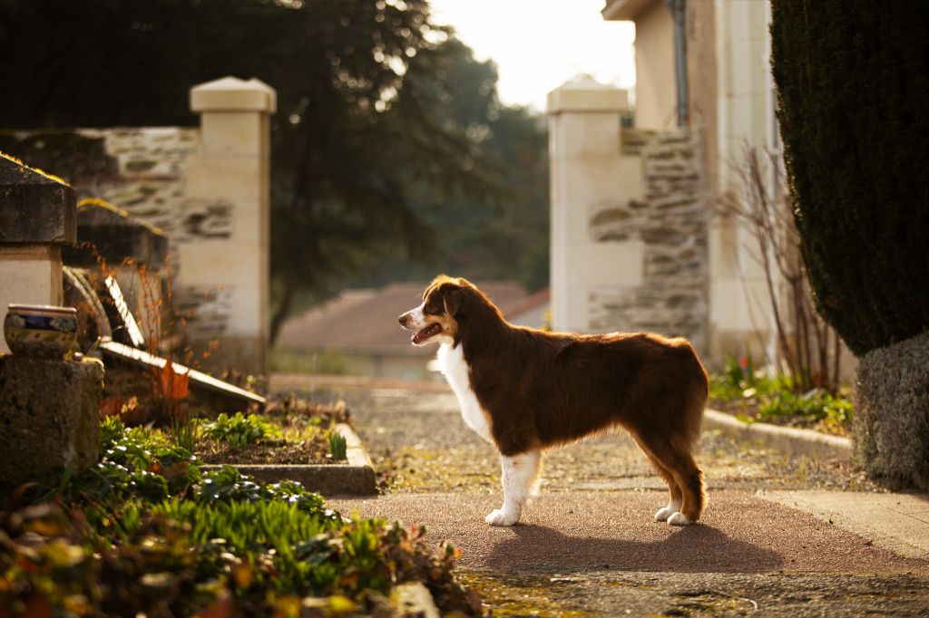 Sunday bloody sunday de la Croix d'Atal
